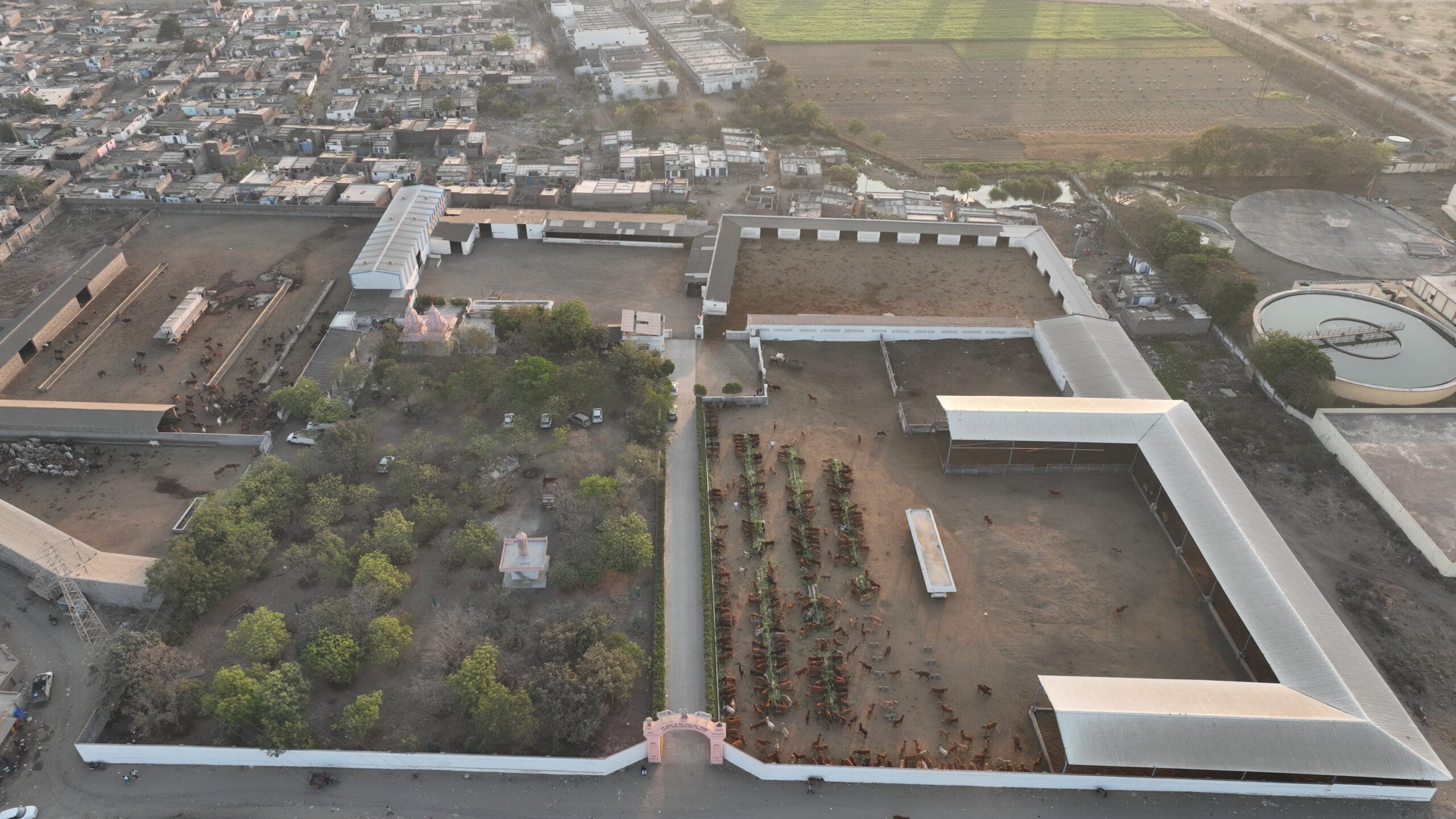Spacious Gaushala Campus