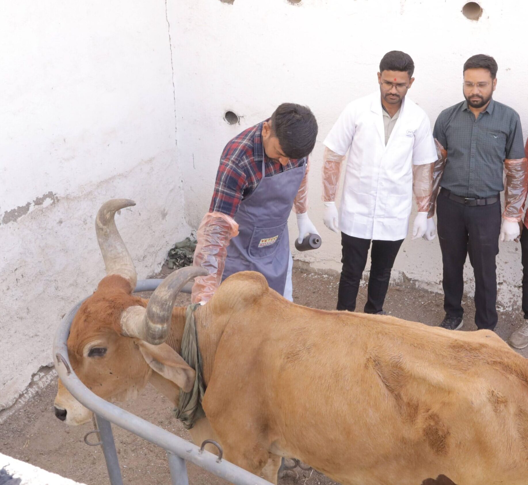 Treatment Facilities